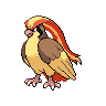 "Pidgeot" Icon