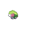 "Shaymin" Icon