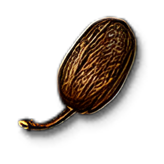 Item icon