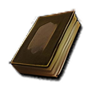 Item icon