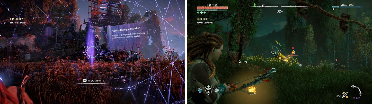 Examine the Watcher corpse to get a new trail (left). Fire arrows work extremely well on the Sawtooths (right).