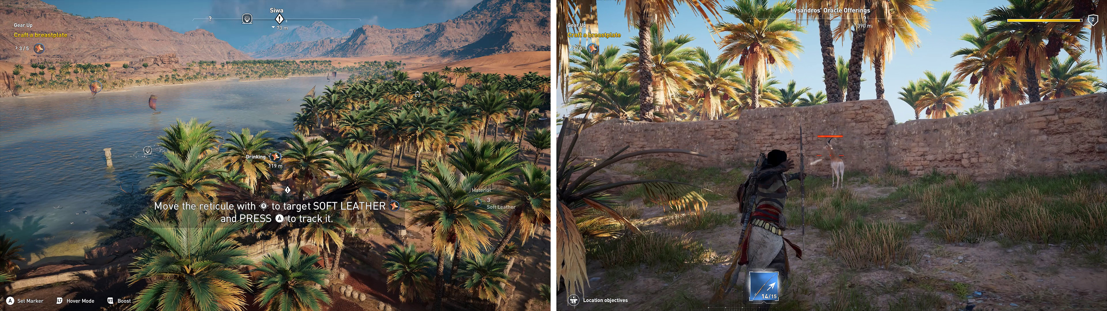 Senu can spot any hunting opportunities (left). Once spotted, shoot the antelope with your bow (right) and collect the Leather.