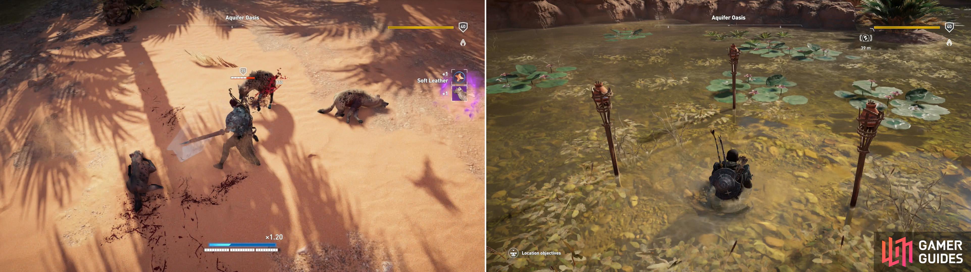 Kill the hyenas prowling about the Aquifer Oasis (left) then meditate in a most… unusual spot (right).