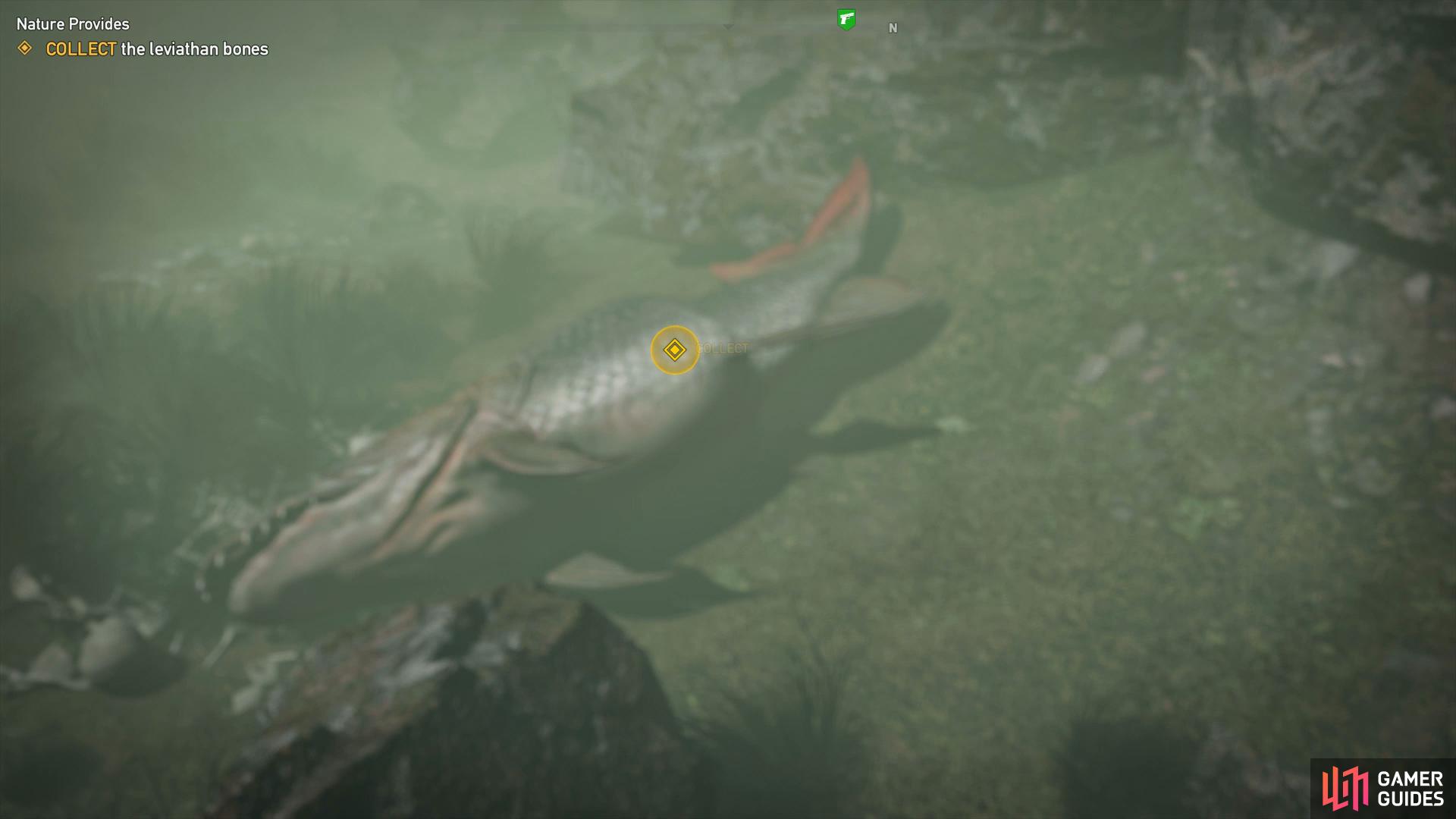 You’ll want the Human Fish Perk so that you can swim under without any worries.