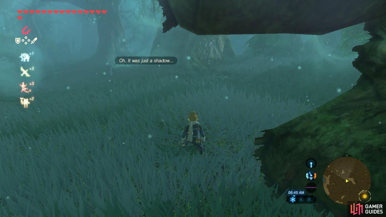 The Legend of Zelda: Breath of the Wild  Screenshot