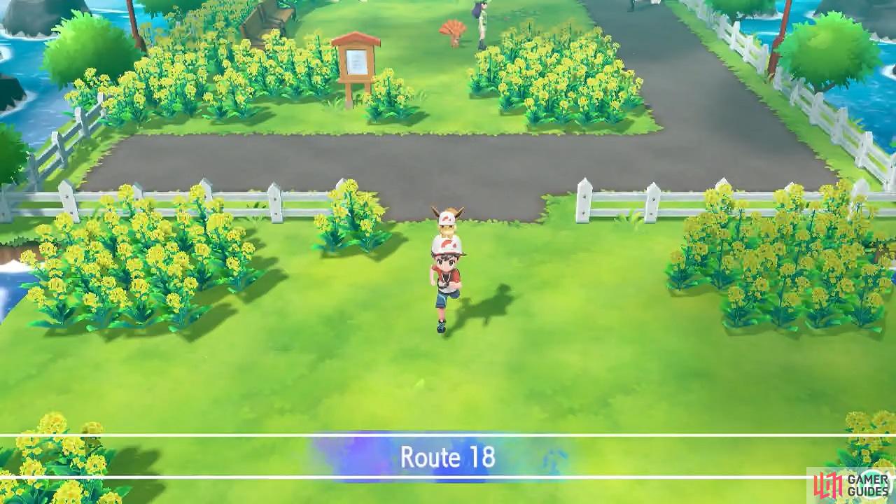 When you reach Route 18, you’re at Fuchsia City’s doorstep.