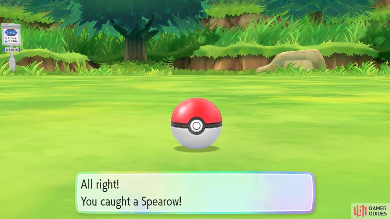 Leave no Pokémon behind!