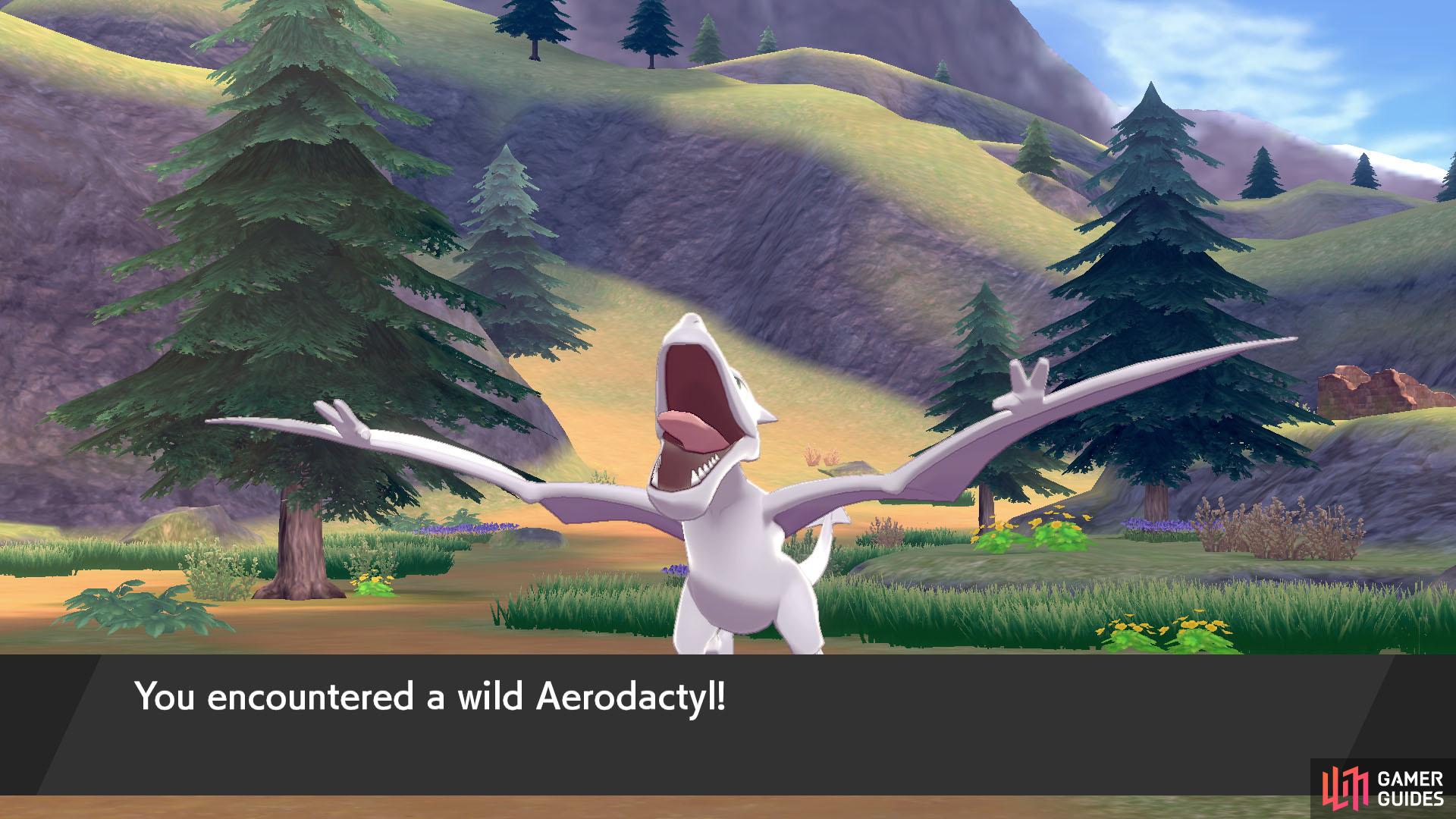 No. 127 Aerodactyl