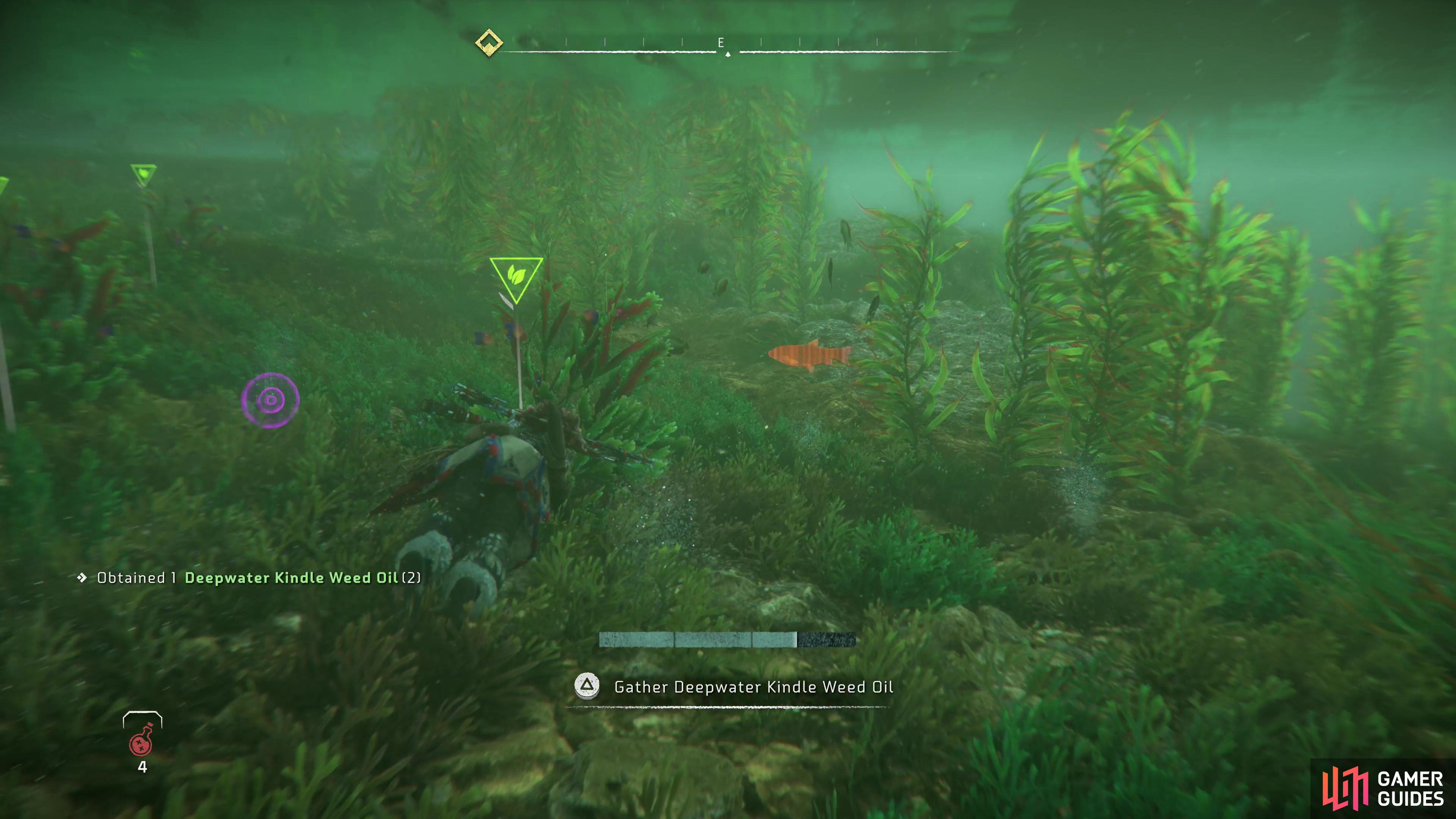 You can find plenty of Deepwater Kindle Weed Oil in the water near the ancient ruins.