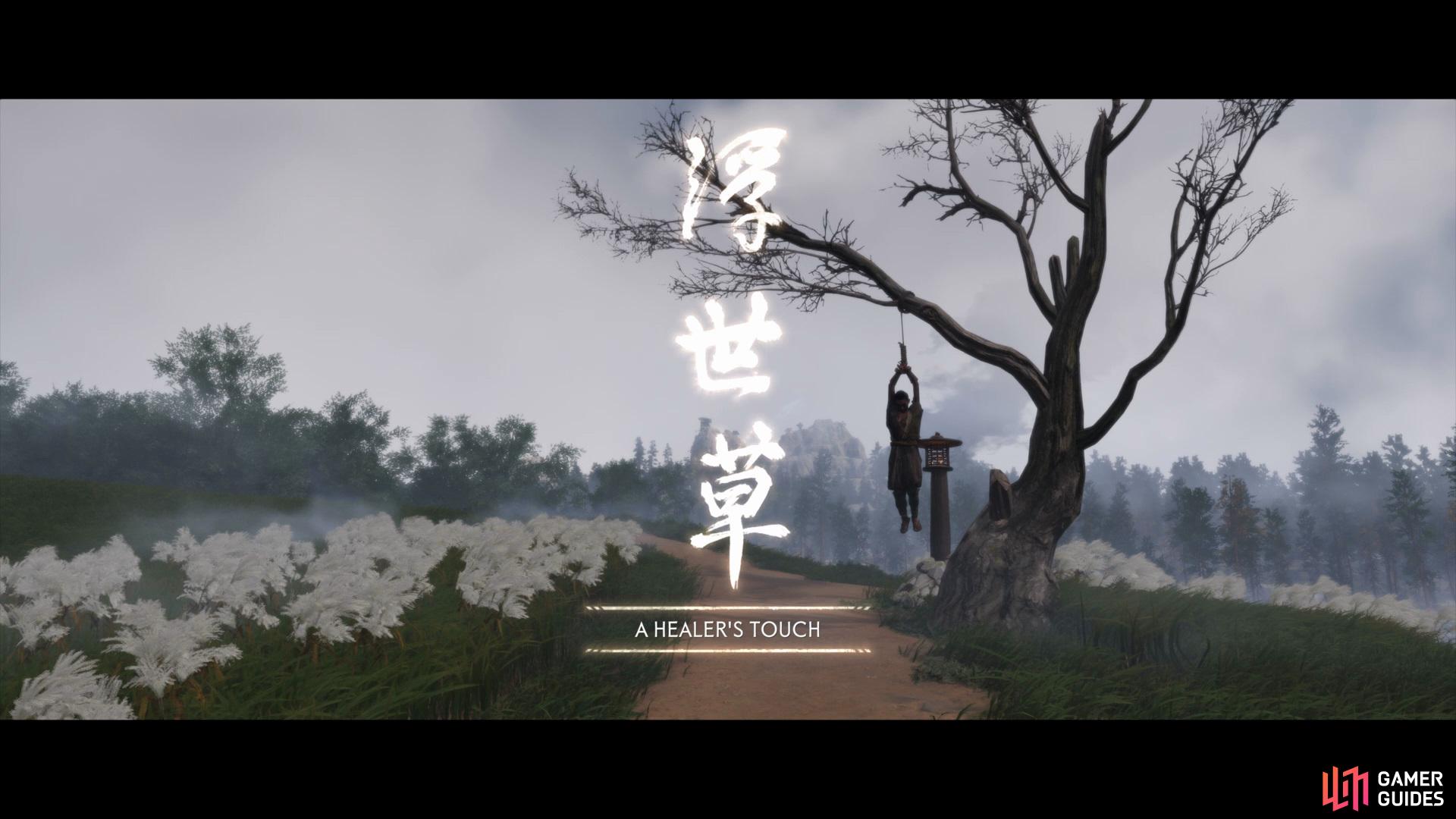 Ghost of Tsushima: Director's Cut Screenshot