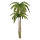 Whitesand_Coconut_Tree_Housing_Furnishings_Genshin_Impact.png