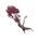 Item_Burgundy_Needletree.png