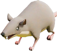 Rat_V_Rising.png