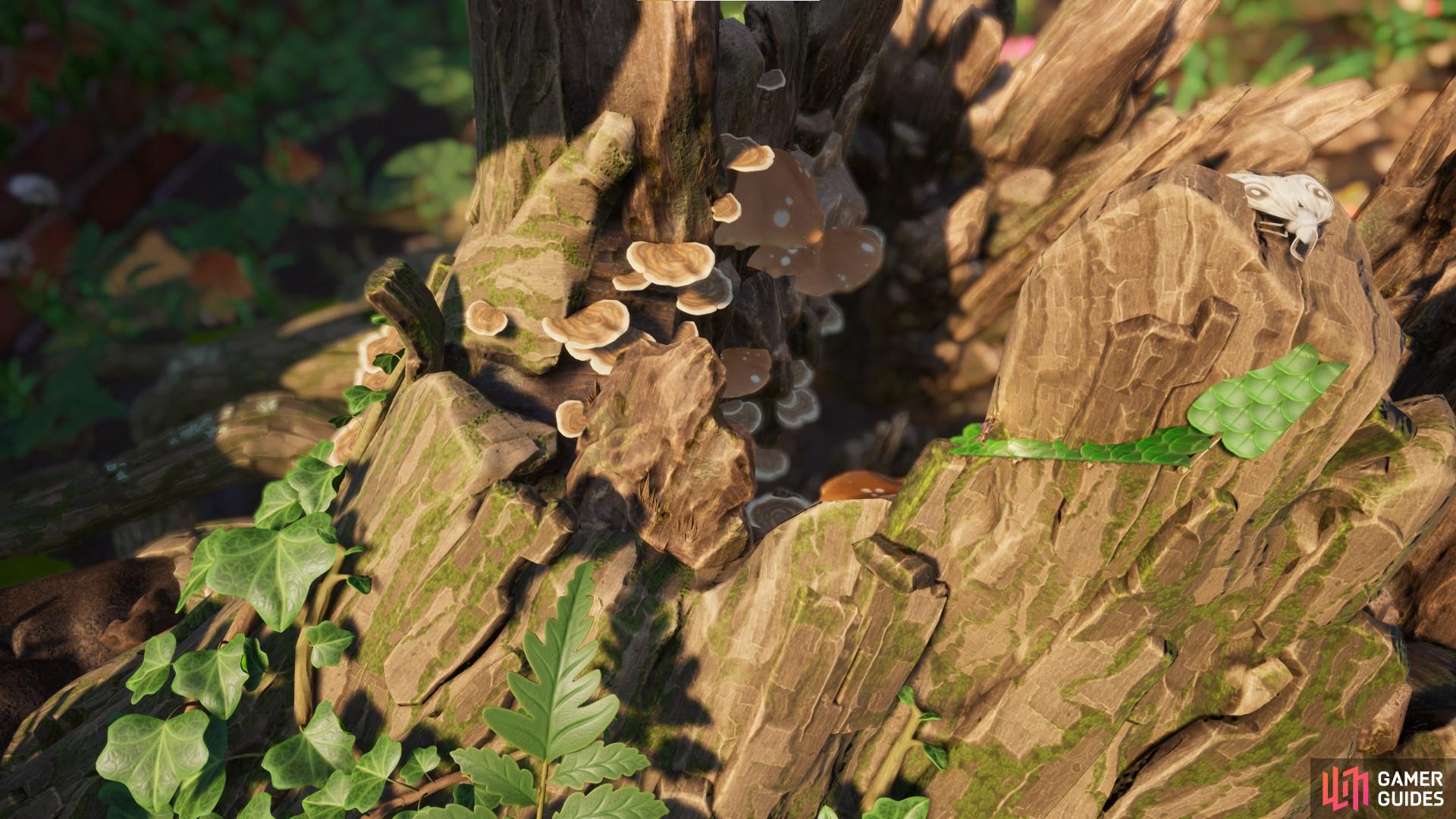 The Moth is to the right, while we built from a tiny point just below it. The left side of the image is where you can easily climb up the tree stump using the vines and branches.