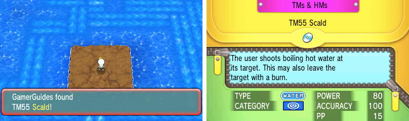 Scald is a great Water-type move that sacrifices multi-hitting for the chance to Burn.