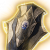 "Ketheric's Shield" icon