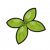 "Basil" icon