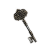 "Gaol Key" icon