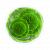 "Greater green mutagen" icon