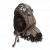 "Igon's Helm (Altered)" icon