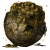 "Hefty Fetid Pot" icon