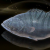 "Dread Grouper" icon