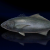 "Black Barrelfish" icon