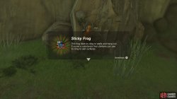 sticky_frog2-72768ca1.jpg