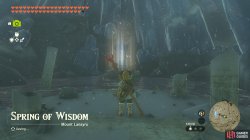 zelda_totk_spring_wisdom1-33ae28c4.jpg