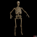 skeleton-71858694.png