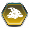 Trophy/Achievement Icon