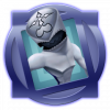 Trophy/Achievement Icon