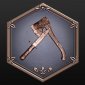 Trophy/Achievement Icon